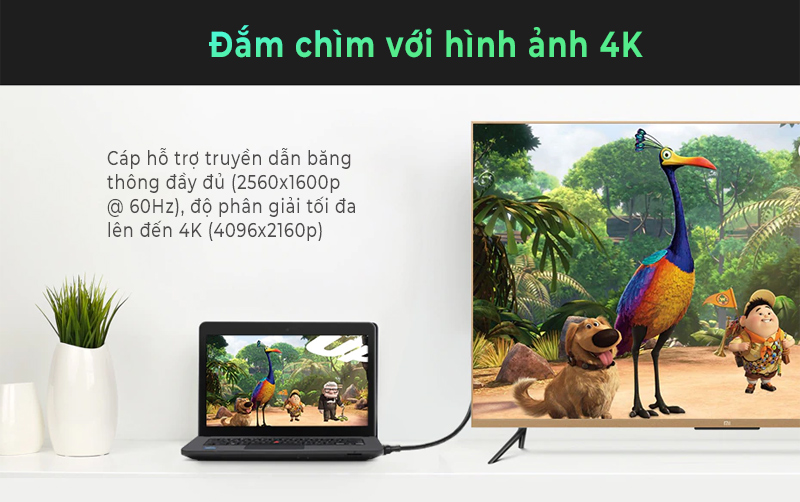 Cáp chuyển đổi Ugreen Mini Displayport to Displayport 1.5M 10477 1 Cáp chuyển đổi Ugreen Mini Displayport to Displayport 1.5M 10477