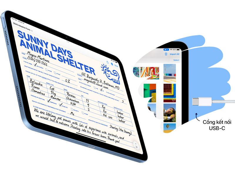 Pad Gen 10 2022 10.9" Wi-Fi + Cellular 9 iPad Gen 10 2022 Wi-Fi + Cellular 256GB