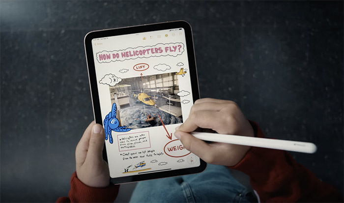 iPad Mini 6 2021 8.3" Wi-Fi + Cellular 3 iPad mini 2021