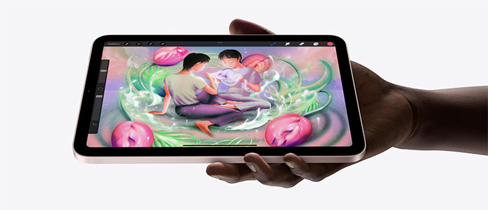 iPad Mini 6 2021 8.3" Wi-Fi + Cellular 4 iPad mini 2021