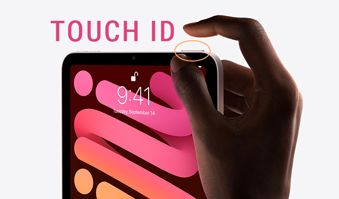 iPad Mini 6 2021 8.3" Wi-Fi + Cellular 6 iPad mini 2021