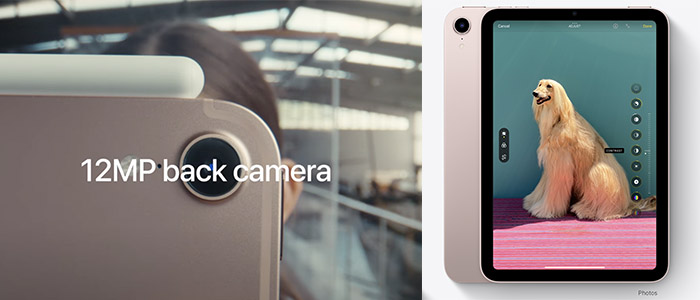 iPad Mini 6 2021 8.3" Wi-Fi + Cellular 7 iPad mini 2021