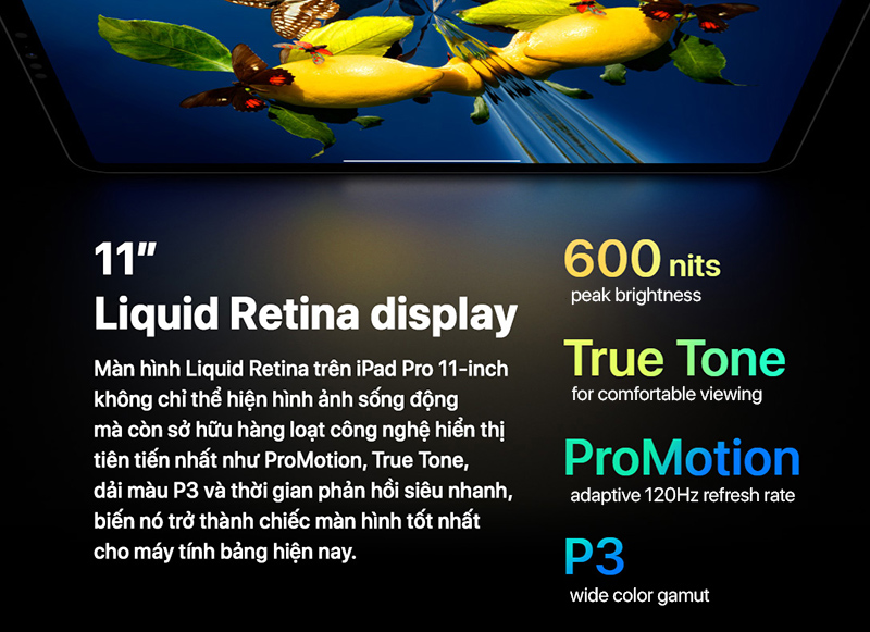 iPad Pro 11-inch M2 2022 Wi-Fi - Secondhand 5 iPad Pro 11-inch M2 2022 Wi-Fi 128GB